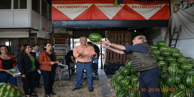 HDP’DEN BALIK VE SEBZE HALİ ÇIKARTMASI
