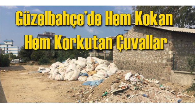 Hem Kokan Hem Korkutan Çuvallar