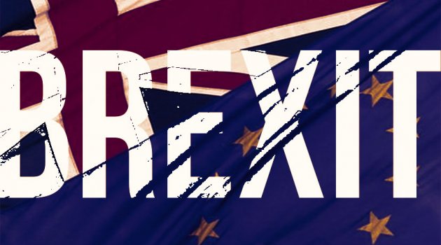 Hollanda ve Fransa'dan "AB referandumu" çağrısı