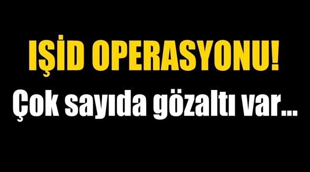 IŞİD'e operasyon! Çok sayıda gözaltı var...