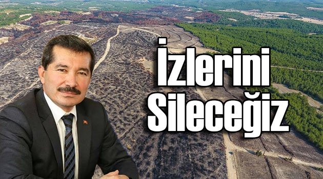 İzmir'in Ciğerlerini Yakan Yangının İzleri Siliniyor