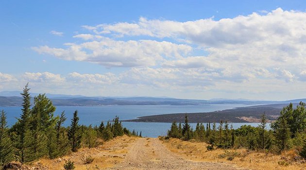 Karaburun Yarımadası Yeşile Uyanıyor