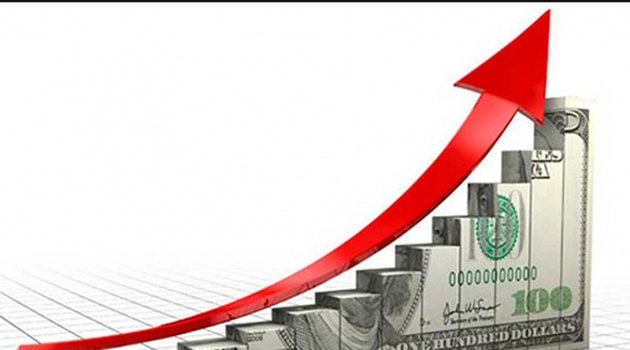 Karlov Suikastının Ardından Dolar Yükseldi