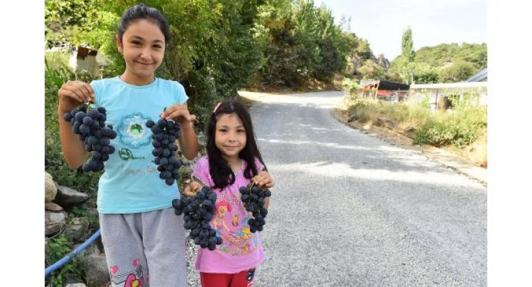 KAVACIK'TA EN KEYİFLİ HASAT