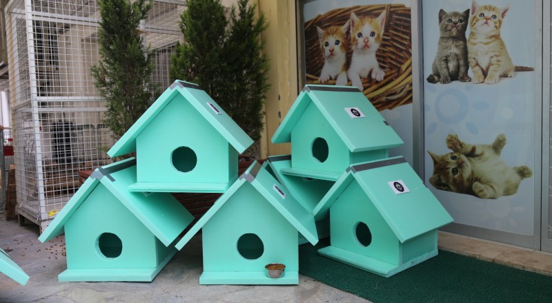 KARABAĞLAR'DA KEDİLER İÇİN SICAK YUVA