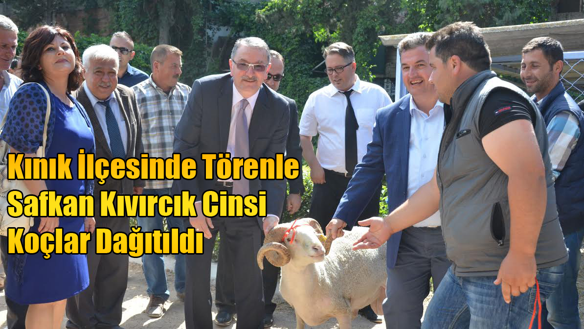 Kınık İlçesinde Törenle Safkan Kıvırcık Cinsi Koçlar Dağıtıldı
