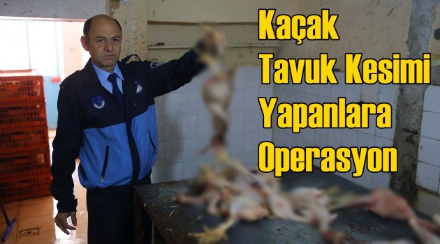 Konak’ta Kaçak Tavuk Kesimi Yapanlara Operasyon