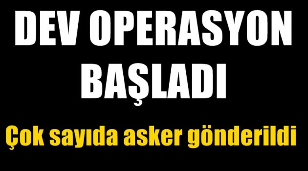 Lice'de hava destekli operasyon
