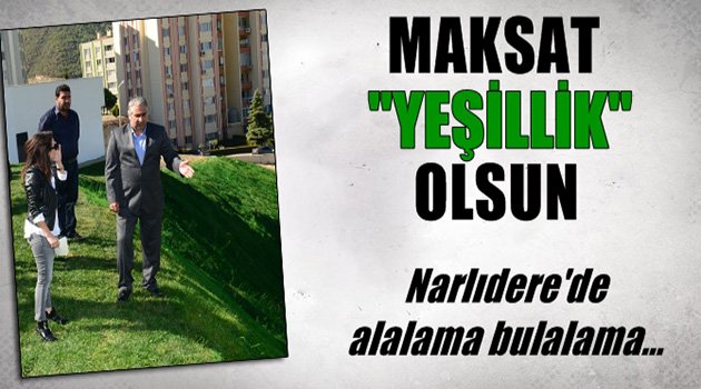 Maksat Yeşillik Olsun