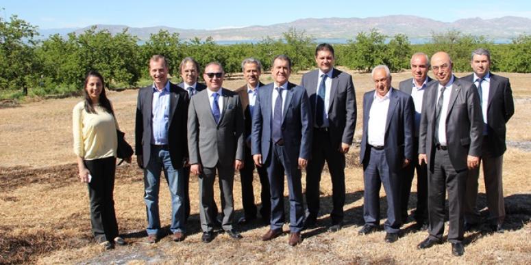 KAYISI VE KURUTULMUŞ ERİK ÜRETİCİLERİNE MÜJDE!