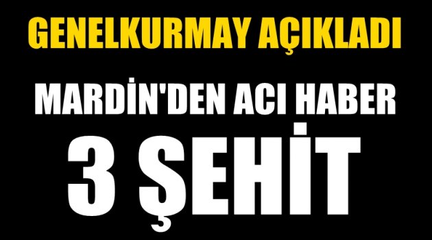 Mardin’de PKK Saldırısı: 3 Şehit 14 Yaralı