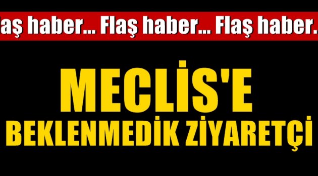 Meclis'e beklenmedik ziyaretçi!