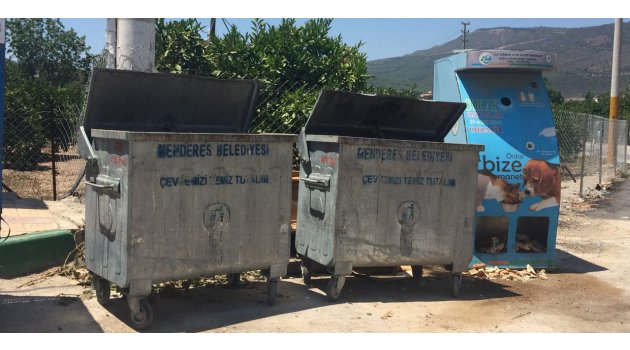 Menderes'te sokak hayvanları çöpe layık görüldü!