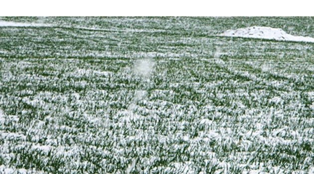 Meteorolojiden İzmir İçin Don Uyarısı