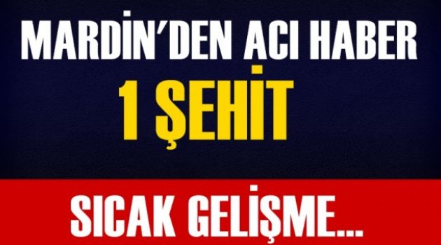 Nusaybin'de 1 polis şehit oldu