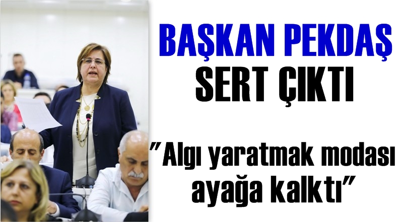 Pekdaş: Algı yaratmak modası atağa kalktı