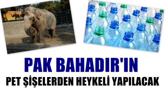 Pet şişeler ''fil heykeli'' olacak