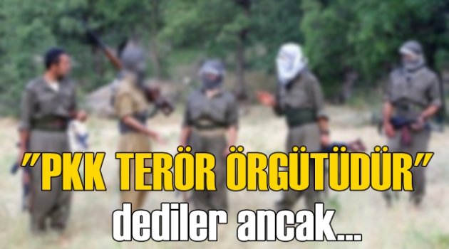 ''PKK terör örgütüdür'' dediler ancak...