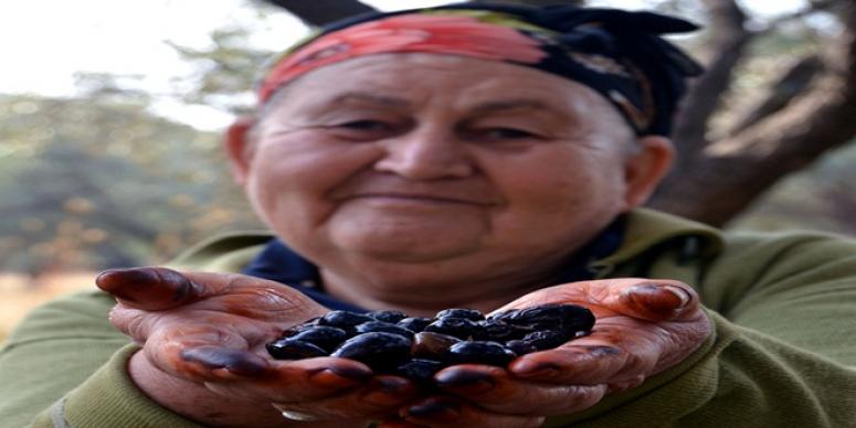 “ZEYTİN’İN YOLCULUĞU”NDA SIRA ÜÇÜNCÜ ADIMDA