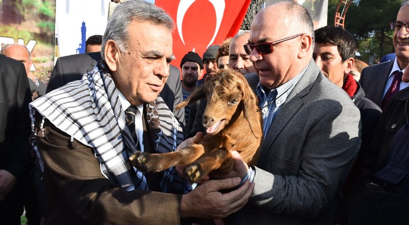 YOK BÖYLE HİZMET