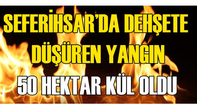 Seferihisar'da Dehşete Düşüren Yangın