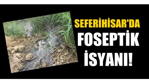 SEFERİHİSAR'DA FOSEPTİK İSYANI!