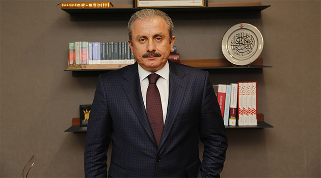 Şentop Açıkladı: İşte Başkanın ve Vekillerin Yetkileri
