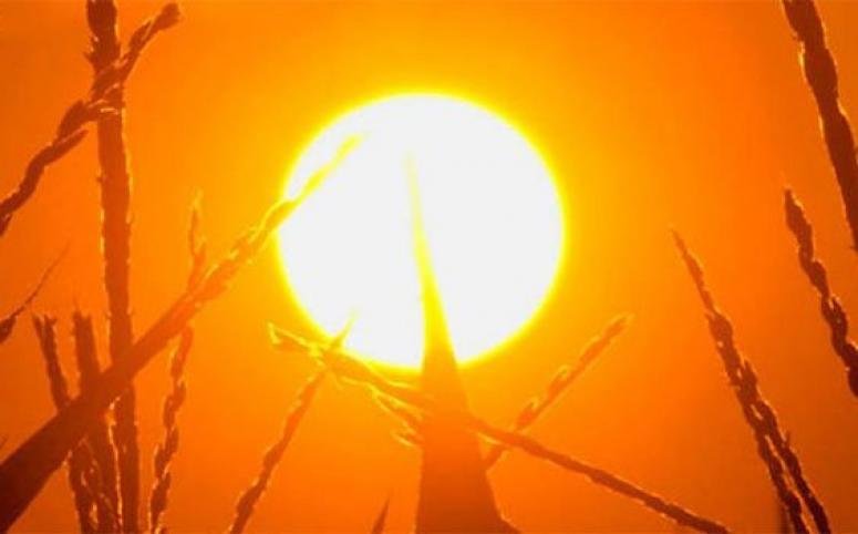 METEOROLOJİDEN SICAK UYARISI!