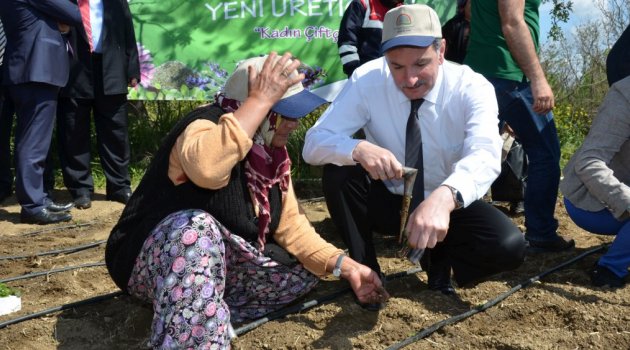 Şifalı Bitkilerin Yeni Üreticileri, İzmirli Çiftçi Kadınlar
