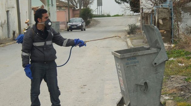 SİVRİSİNEK VE HAŞERELERE KARŞI 12 AY MÜCADELE