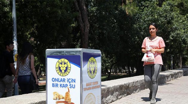 Sokak Hayvanlarına Sürekli Gıda Bankası