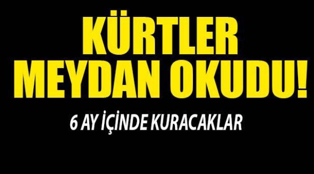 Suriyeli Kürtler 6 ay içerisinde federasyon hedefliyor