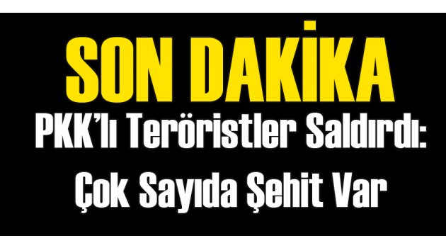 Teröristler 3 Polisi Şehit Etti