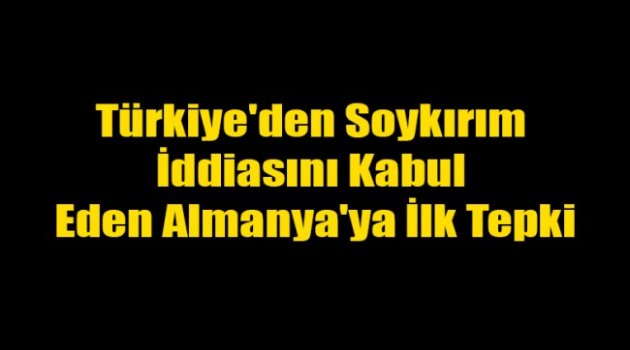 Türkiye’den Oylama Sonrası Almanya’ya İlk Tepki