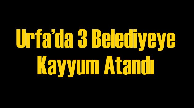 Urfa’da 3 Belediyeye Kayyum Atandı