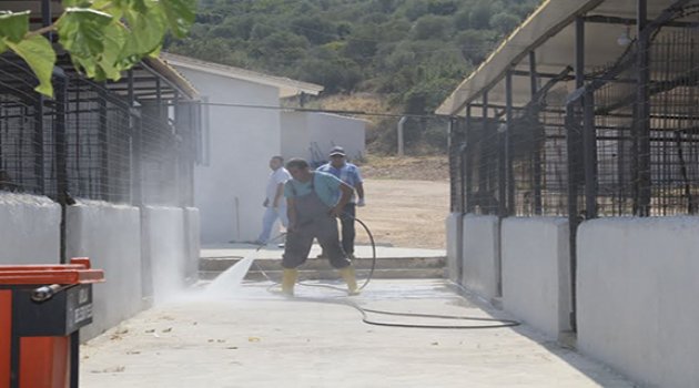 Urla Belediyesi Hayvan Barınağı Artık Tam Donanımlı
