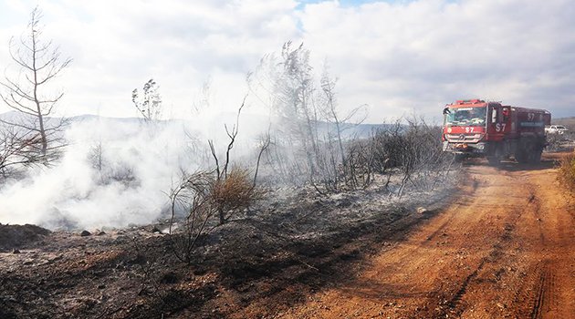 Urla'da Orman Yangını