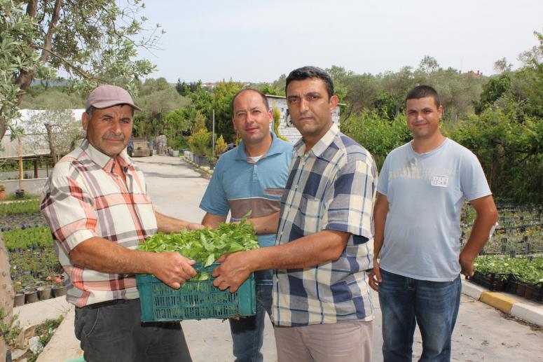 URLALI ÇİFTÇİYE 20 BİN SEBZE FİDANI DAĞITILDI