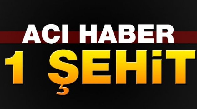 Yüksekova'da çatışma: 1 polis şehit