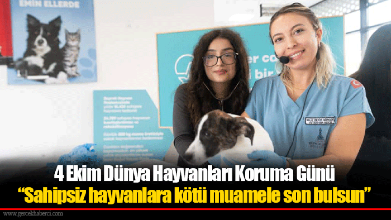 4 Ekim Dünya Hayvanları Koruma Günü “Sahipsiz hayvanlara kötü muamele son bulsun”