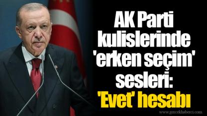 AK Parti kulislerinde 'erken seçim' sesleri: 'Evet' hesabı