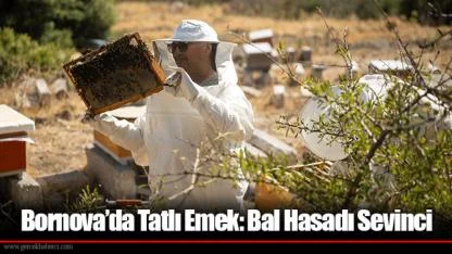 Bornova’da Tatlı Emek: Bal Hasadı Sevinci