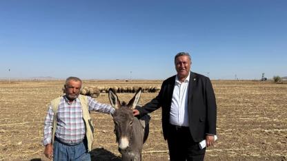 CHP Niğde Milletvekili Ömer Fethi Gürer, “Hayvancılıkta sorunlar artıyor”