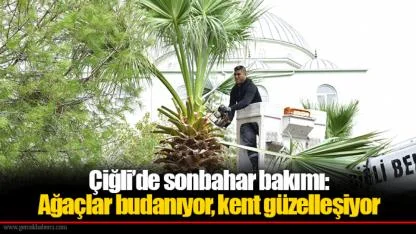 Çiğli’de sonbahar bakımı: Ağaçlar budanıyor, kent güzelleşiyor