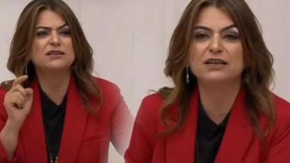DEM Partili Gülistan Koçyiğit, tepki çeken 'gencecik cesetler' ifadesi için özür diledi