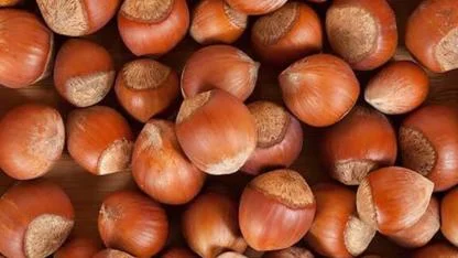 Dünyanın birincisiyiz ama fındığa ulaşamıyoruz: Kilosu 1.200 TL’ye dayandı