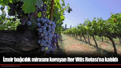 İzmir bağcılık mirasını koruyan Iter Vitis Rotası’na katıldı