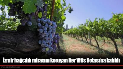 İzmir bağcılık mirasını koruyan Iter Vitis Rotası’na katıldı