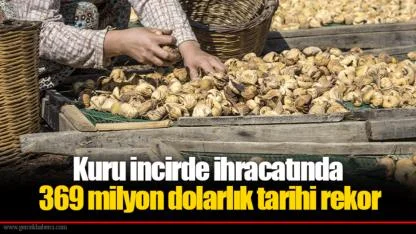 Kuru incirde ihracatında 369 milyon dolarlık tarihi rekor