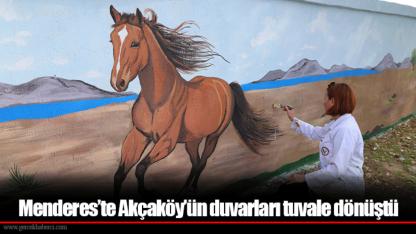 Menderes’te Akçaköy’ün duvarları tuvale dönüştü